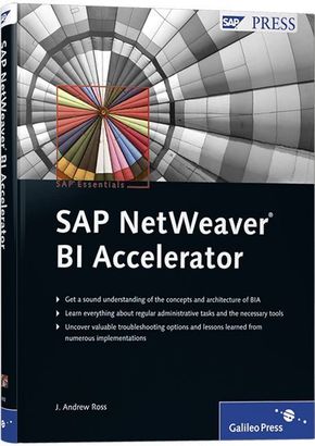 SAP NetWeaver BI Accelerator