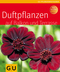 Duftpflanzen f&uuml;r Balkon und Terrasse