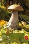 Pilze