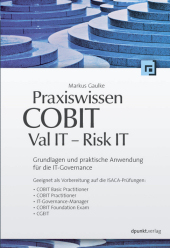 Praxiswissen COBIT - Val IT - Risk IT