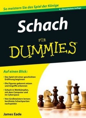 Flirten für dummies